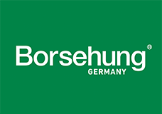 Borsehung